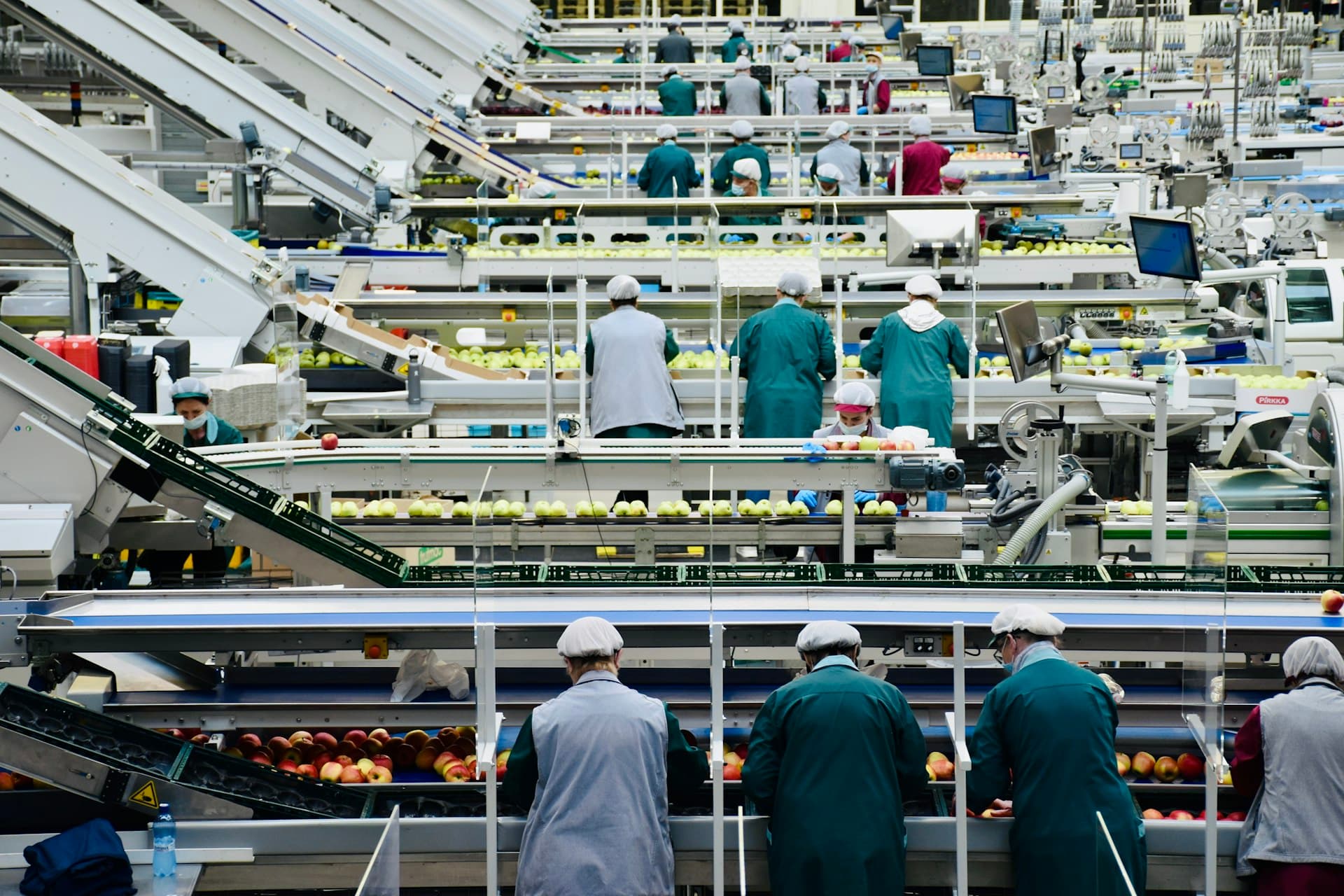 Plateforme unique Nouryla à Trappes : ligne de production frites + boulangerie sur un seul site